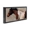 Stupell Industries Dashing Brown Horse Floater Framed Canvas Wall Art Design by Nina Blue